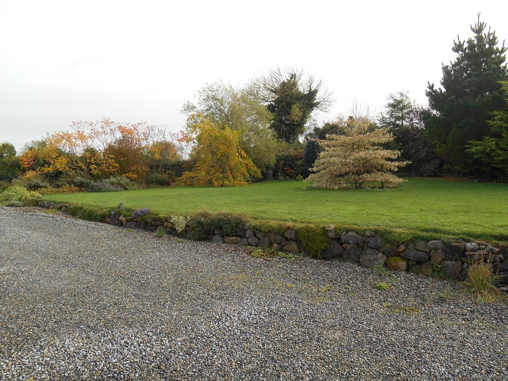 The Well Meadow B&B Nenagh Exterior photo